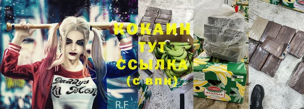 хмурый Тосно